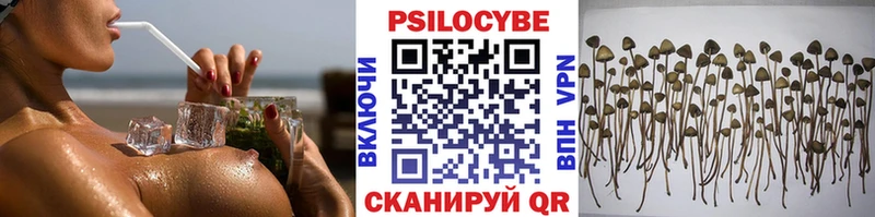 Галлюциногенные грибы Magic Shrooms Южноуральск